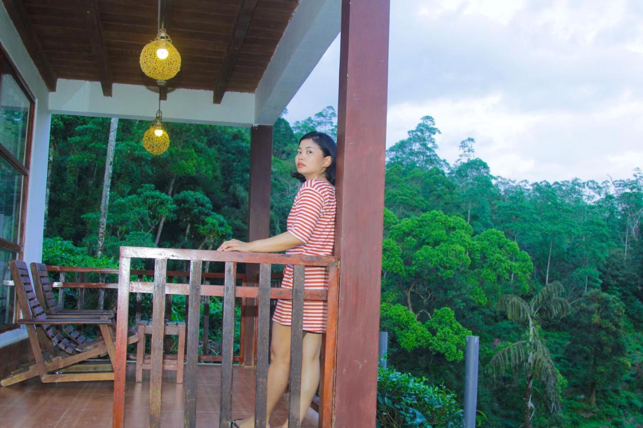 Rainforest Mount Lodge Deniyaya Eksteriør bilde