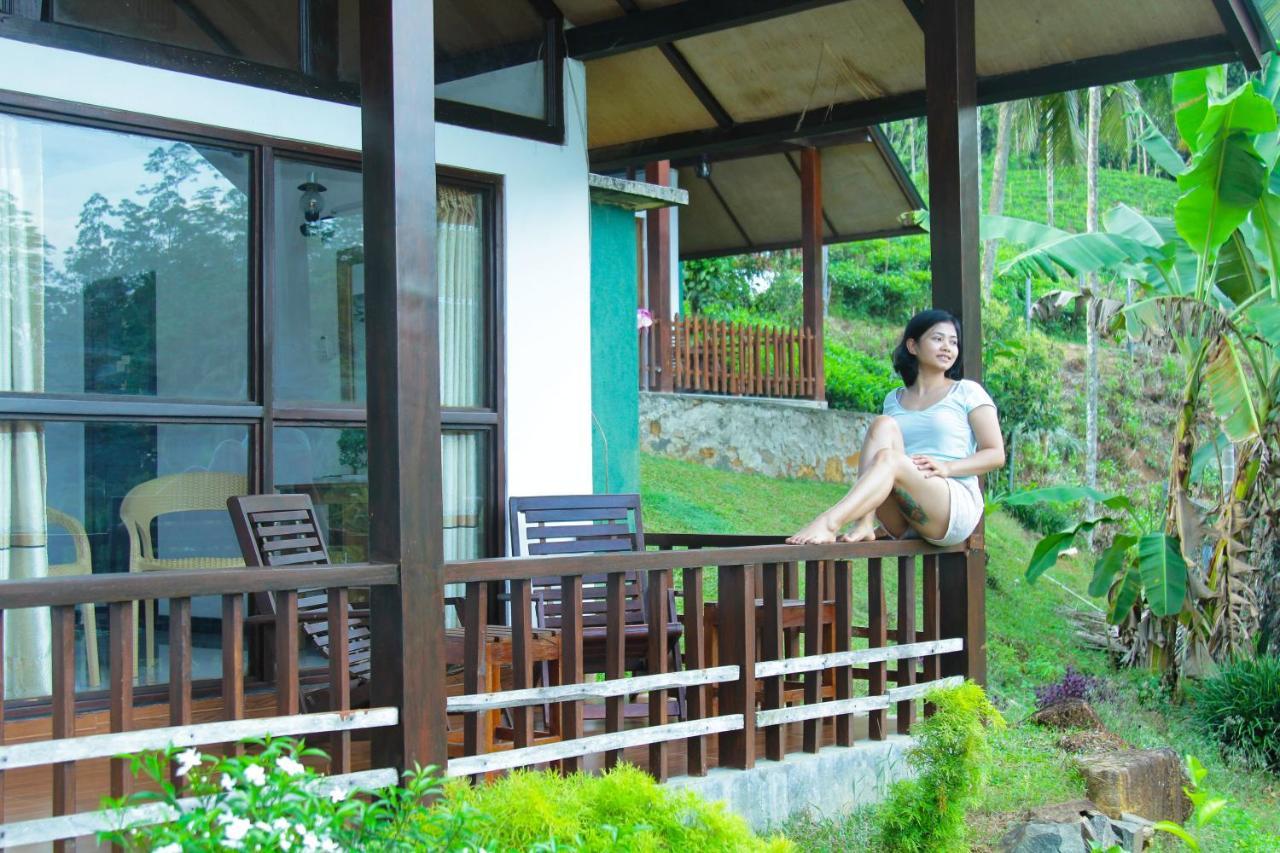 Rainforest Mount Lodge Deniyaya Eksteriør bilde
