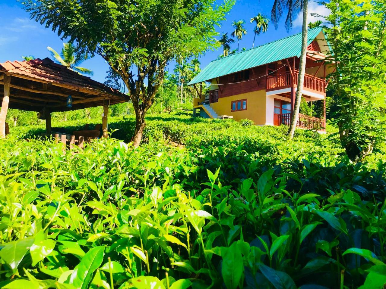 Rainforest Mount Lodge Deniyaya Eksteriør bilde