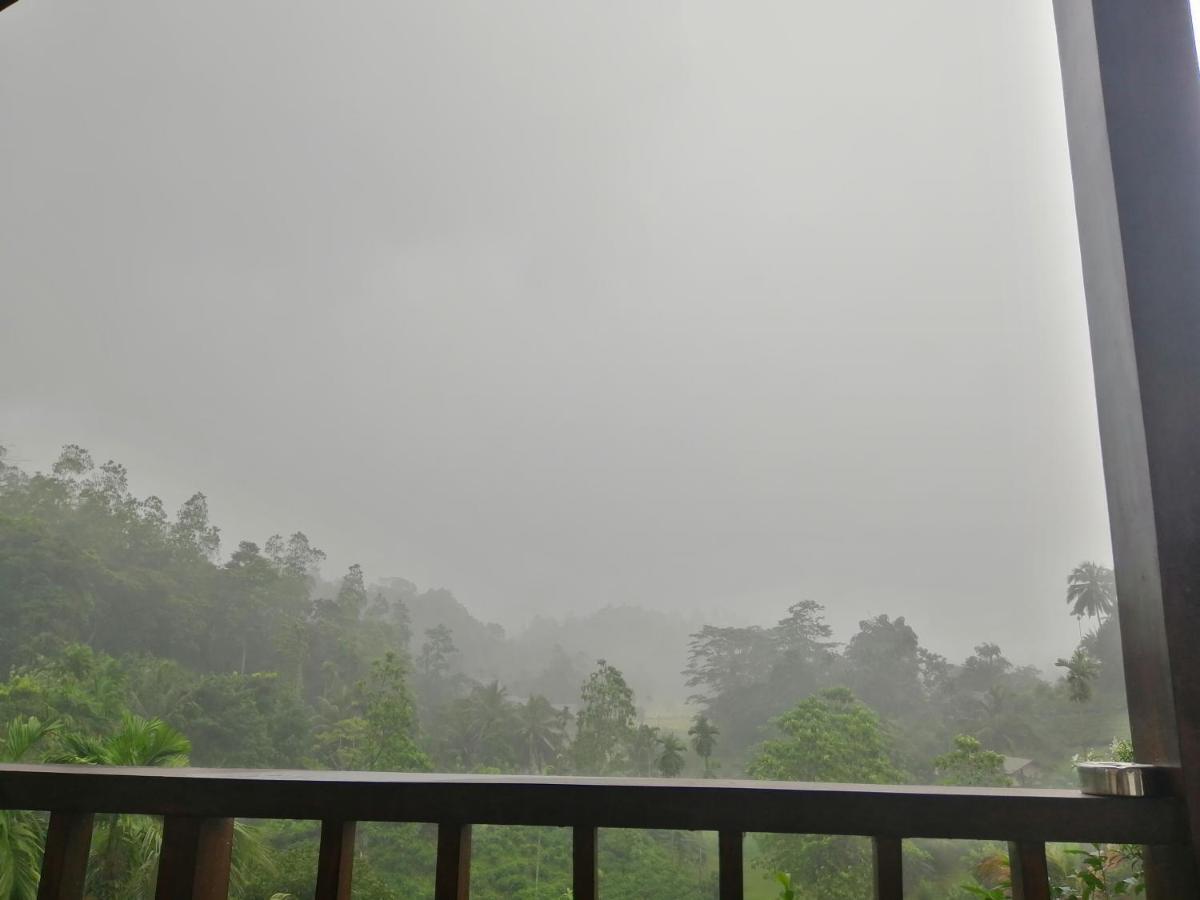 Rainforest Mount Lodge Deniyaya Eksteriør bilde